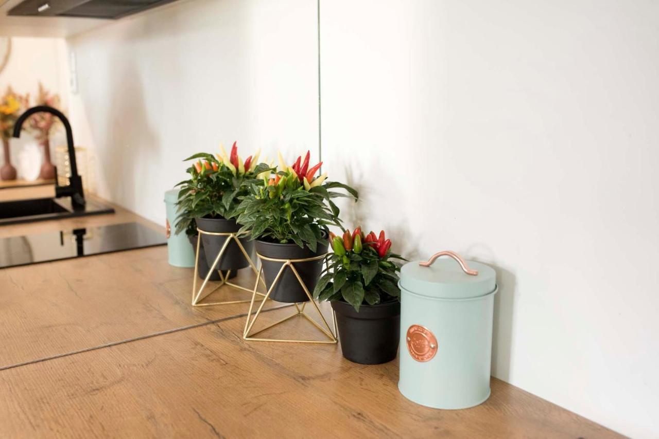 Apartment Moveen! Wynajem Apartamentow We Wroclawiu! 10 Minut Od Centrum *